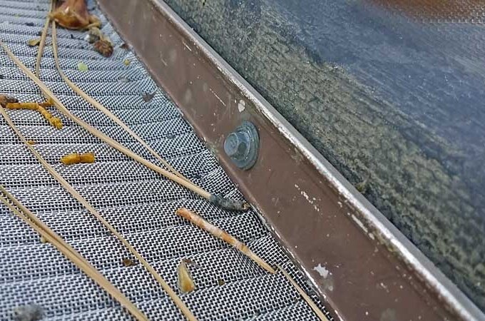 Close-up of a metal gutter guard featuring RiserStep Technology and stainless steel micro-mesh, with pine needles and debris on the mesh. The edge of a roof is visible above the guard.